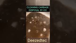 how to clean CARBAGE DISPOSAL [upl. by Charry651]