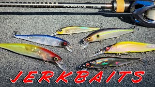 BUYERS GUIDE Jerkbaits and Jerkbait Rods For Bass [upl. by Aidroc]