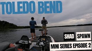 Toledo Bend Shad Spawn Episode 2 [upl. by Labotsirc]