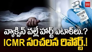 ICMR Declared Corona Vaccine is Not Reason Sudden Heart Attack Deaths  SEE NEWS TELUGU [upl. by Atcele]