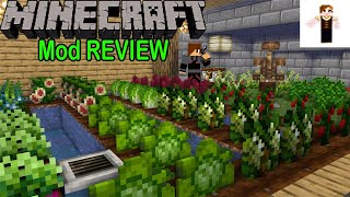 Pams HarvestCraft mod Review  La mejor comida de Minecraft  Minercaft ESPAÑOL 1122 [upl. by Feer234]