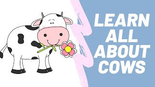 COWS  Learn all about Cows for Kids  Children Educational Video  Farm Animal Preschool Activity [upl. by Eikciv]