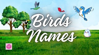 50 Names of BirdsEarly knowledge of birds for your kidz [upl. by Vola]