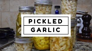 How to Make Homemade Pickled Garlic [upl. by Nivrae935]