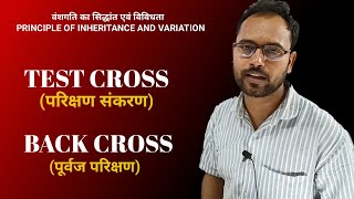 Back Cross Vs Test Cross  Genetics  Principles of Inheritance and Variation Class 12 BiologyNEET [upl. by Winters]