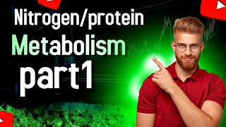 Nitrogenprotein metabolismpart1 [upl. by Lorrad]