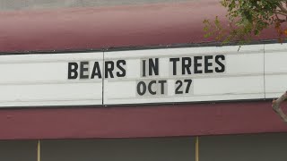 Bears in Trees Roxy Marquee Sunset Blvd Los Angeles California USA October 26 2024 [upl. by Evanthe346]