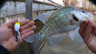 Creek CRAPPIE Fishing From The BANK🎣JIG AND BOBBER CREEK CRAPPIE 2024‼️ [upl. by Gilliam687]