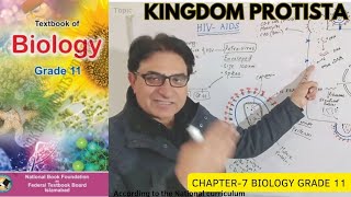 Kingdom Protista  Protozoa Algae amp Slime Molds  Biology  Grade 11 Urdu Hindi English  Federal [upl. by Japheth]