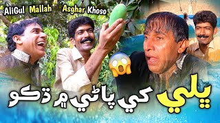 Bhale Khe Pani Mai Dikho😱 Ali Gul Mallah  Asghar Khoso [upl. by Atem]