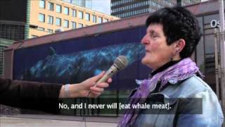 Seas of Change  why Norwegian whaling belongs in the past [upl. by Ahsiekim971]