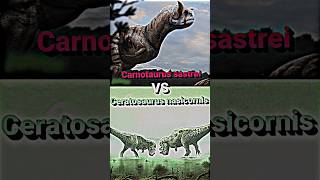 Carnotaurus VS Ceratosaurus dinosaur ceratosaurus carnotaurus prehistoric paleontology shorts [upl. by Dusty]