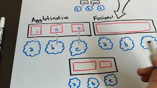 Isolating Synthetic Agglutinative and Fusional [upl. by Denyse973]