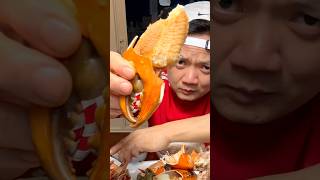 Giant mud crab Mukbang shorts seafood food mudcrab food foodlover [upl. by Merrow]