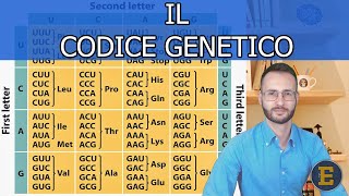 19 Il Codice genetico 4 minuti [upl. by Namielus]