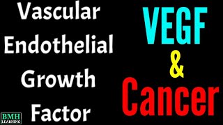 Vascular Endothelial Growth Factor  VEGF [upl. by Akcirederf]