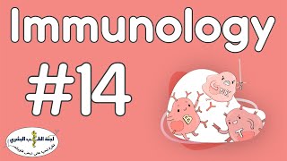 Immunological Tolerance and Autoimmunity  Lecture 14 by Bushra ElAmaireh [upl. by Marietta381]