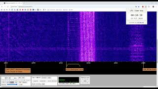 quotStalingrad Clockquot or quotThe Metronomequot at 6911 kHz in USB Mode [upl. by Suirtemed]