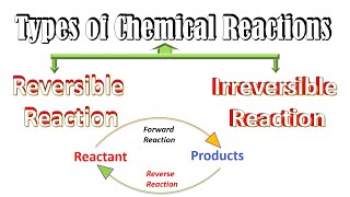 Reversible and Irreversible Reactions Chemistry  Chemical Reactions Types Chemical Equilibrium [upl. by Ahsataj]