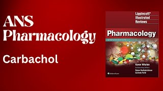 Carbachol CholinergicAgonist [upl. by Walton]