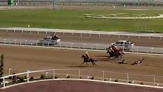 Turkmen president falls during horse race [upl. by Silyhp862]