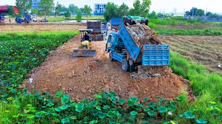 Bulldozer And Small Dump Trucks Process filling Flooded land Next to the road [upl. by Giles]