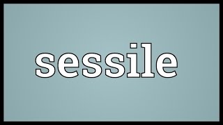 Sessile Meaning [upl. by Saalocin]