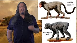 Systematic Classification of Life  ep41 Hominoidea [upl. by Eon]