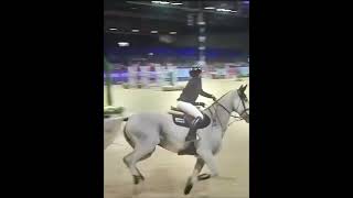 showjumping verona 2024 😝 [upl. by Ysdnyl]