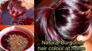 Burgundy Hair Color At Home Natural Hair Colour At Home ColoringHair hennaforhair hairgrowth [upl. by Foote188]