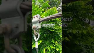 KL Forest Eco Park travel malaysia kualalumpur ecopark forest traveldestinations tree [upl. by Nnylatsyrk]