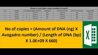 How to calculate copy number in excel for qPCR [upl. by Orlene792]