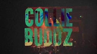 Collie Buddz  Love amp Reggae Tour 2018 with SOJA [upl. by Lyndel]