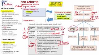 Colangitis [upl. by Arabeila]