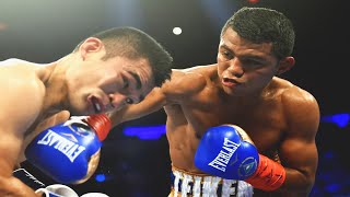 Roman Gonzalez vs Brian Viloria  Highlights Explosive FIGHT amp KNOCKOUT [upl. by Rowell59]