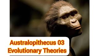 Australopithecus03 Johanson amp White model Three branch theory AnthropologyInsightsforUPSCNET [upl. by Atteram794]