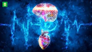 Heart Brain Coherence  Synchronicity Binaural Beats  01 Hertz Frequency  Meditation Music [upl. by Menis539]