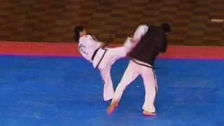 INCREDIBLE Martial arts masters at the Taekwondo World Championships [upl. by Beryl823]