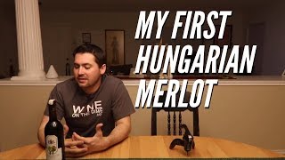 My First Hungarian Merlot St Donatus Balatonboglari Merlot Wine Review [upl. by Lambart669]