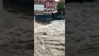 Flood Situation in Wrocław Poland 🇵🇱 flood flooding poland polska wrocław wroclaw odra [upl. by Aymer269]