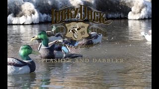 HowTo Setup Lucky Duck Splasher or Dabbler [upl. by Madanhoj]