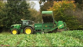 Beet Lifting with John Deere and Armer Salmon [upl. by Nraa939]