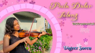 Puilu Dular Talang  Instrumental Version  Digeer Soren  Singrai Soren [upl. by Acinoj816]