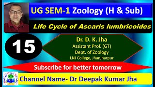 Understanding the Life Cycle of Ascaris lumbricoides From Egg to Adult Worm [upl. by Atiuqcir212]