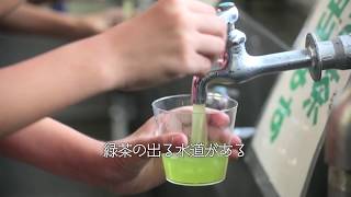 島田市緑茶化計画「小学校に緑茶の水道がある」編 Shimada City Japan [upl. by Tterej]