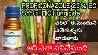 PROPICONAZOLE 25 EC SYSTEMICFungicide వరిలో పాముపొడ తెగులు నివారణhmrTELUGUAGRICULTURE [upl. by Pius]