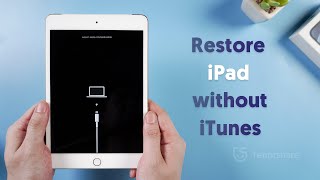 How to Restore iPad without iTunes  DFU modeRecovery Mode 2024 [upl. by Ayikan]