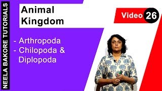 Animal Kingdom  NEET  Arthropoda  Chilopoda amp Diplopoda  Neela Bakore Tutorials [upl. by Galitea]