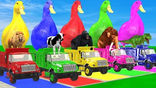 5 Giant Duck CartoonCowMammothTigerLionDinosaurPaint Wild Animals Crossing Fountain Animation [upl. by Harden]