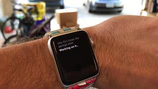 Opening My Garage Door With Siri Using The Chamberlain Smart Garage Door Opener With MyQ Bridge [upl. by Nnylrac]